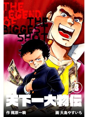 cover image of 天下一大物伝　3